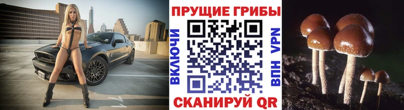 хочу   Облучье  Галлюциногенные грибы GOLDEN TEACHER 